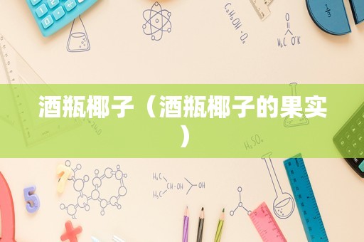 酒瓶椰子（酒瓶椰子的果实）