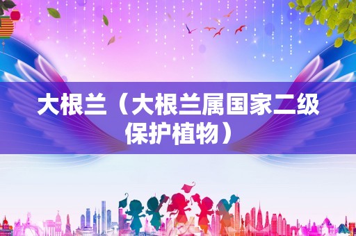 大根兰（大根兰属国家二级保护植物）