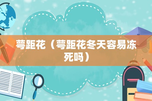 萼距花（萼距花冬天容易冻死吗）