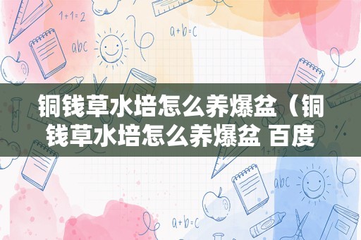 铜钱草水培怎么养爆盆（铜钱草水培怎么养爆盆 百度网盘）