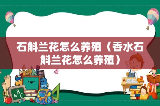 石斛兰花怎么养殖（香水石斛兰花怎么养殖）