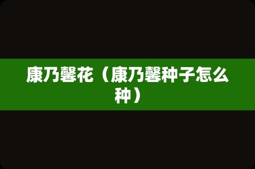 康乃馨花（康乃馨种子怎么种）