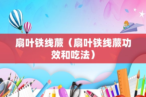 扇叶铁线蕨（扇叶铁线蕨功效和吃法）