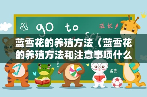 蓝雪花的养殖方法（蓝雪花的养殖方法和注意事项什么时开花）