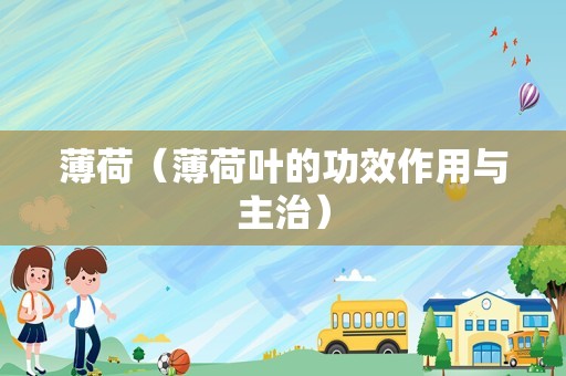 薄荷（薄荷叶的功效作用与主治）