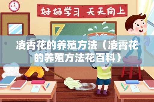 凌霄花的养殖方法（凌霄花的养殖方法花百科）