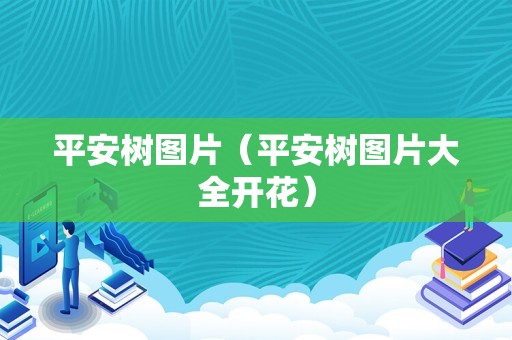 平安树图片（平安树图片大全开花）
