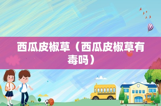 西瓜皮椒草（西瓜皮椒草有毒吗）