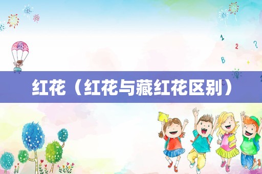 红花（红花与藏红花区别）