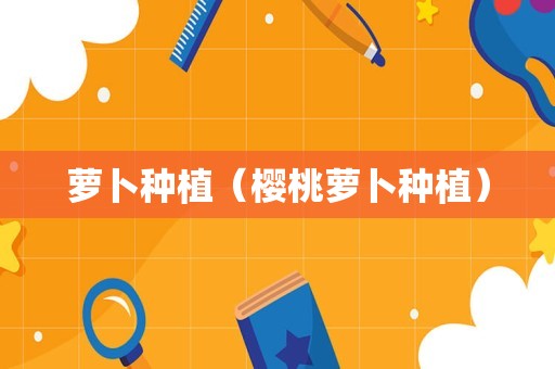 萝卜种植（樱桃萝卜种植）
