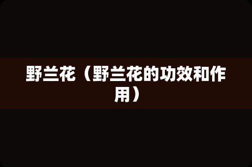 野兰花（野兰花的功效和作用）