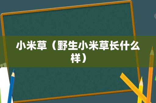 小米草（野生小米草长什么样）