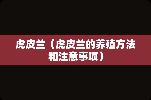 虎皮兰（虎皮兰的养殖方法和注意事项）