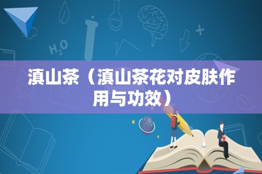 滇山茶（滇山茶花对皮肤作用与功效）