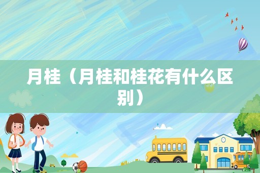 月桂（月桂和桂花有什么区别）