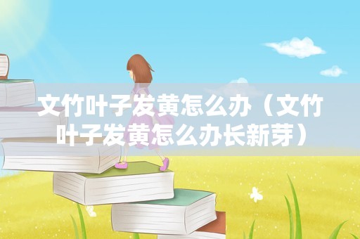文竹叶子发黄怎么办（文竹叶子发黄怎么办长新芽）