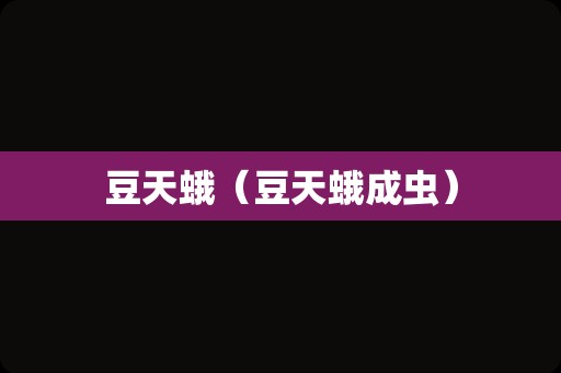 豆天蛾（豆天蛾成虫）