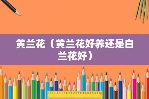 黄兰花（黄兰花好养还是白兰花好）