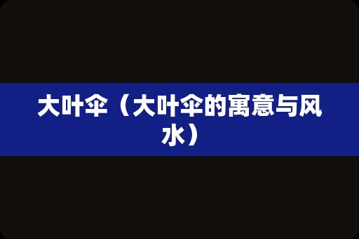 大叶伞（大叶伞的寓意与风水）
