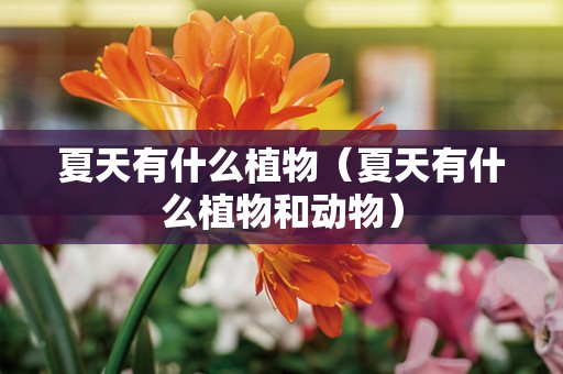 夏天有什么植物（夏天有什么植物和动物）