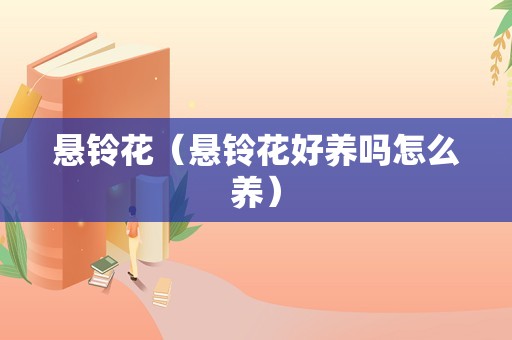 悬铃花（悬铃花好养吗怎么养）