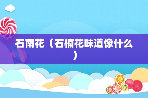 石南花（石楠花味道像什么）