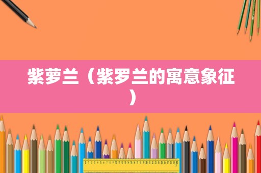 紫萝兰（紫罗兰的寓意象征）