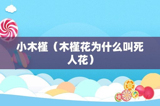 小木槿（木槿花为什么叫死人花）