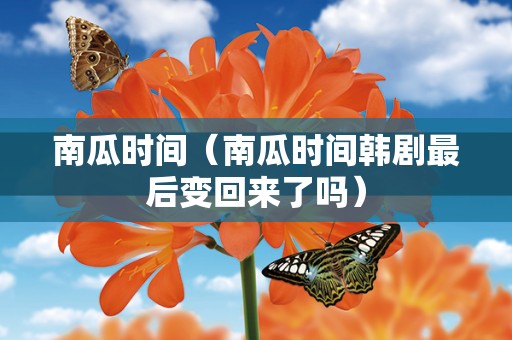 南瓜时间（南瓜时间韩剧最后变回来了吗）