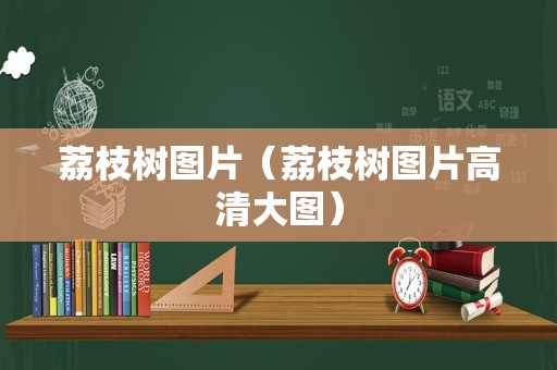 荔枝树图片（荔枝树图片高清大图）