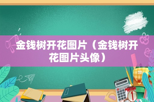 金钱树开花图片（金钱树开花图片头像）
