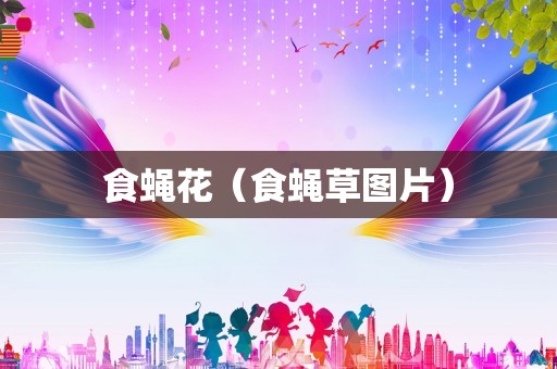 食蝇花（食蝇草图片）