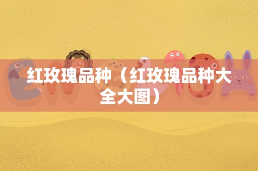 红玫瑰品种（红玫瑰品种大全大图）