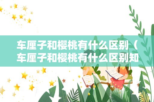 车厘子和樱桃有什么区别（车厘子和樱桃有什么区别知乎）