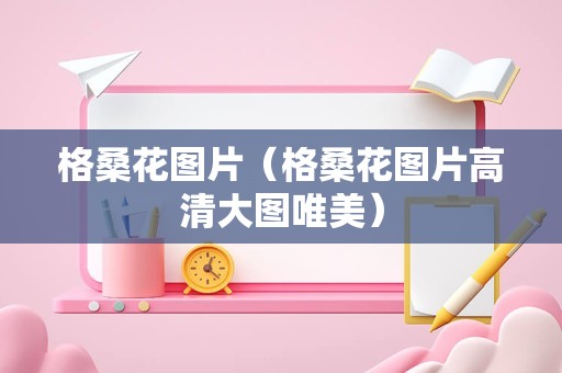 格桑花图片（格桑花图片高清大图唯美）