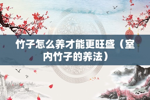 竹子怎么养才能更旺盛（室内竹子的养法）