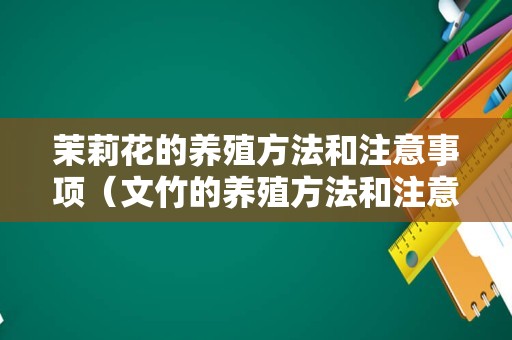 茉莉花的养殖方法和注意事项（文竹的养殖方法和注意事项）
