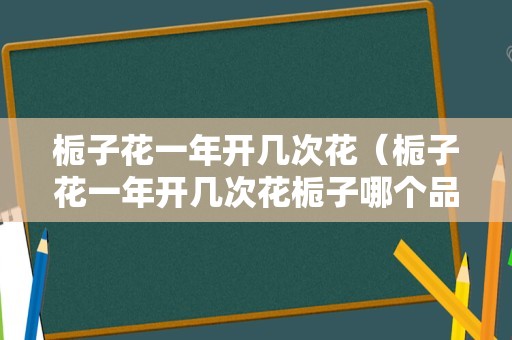 栀子花一年开几次花（栀子花一年开几次花栀子哪个品种好）