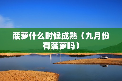 菠萝什么时候成熟（九月份有菠萝吗）