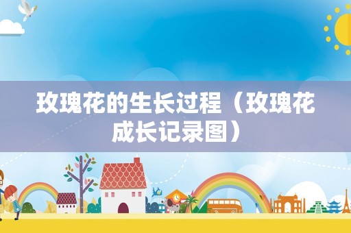 玫瑰花的生长过程（玫瑰花成长记录图）
