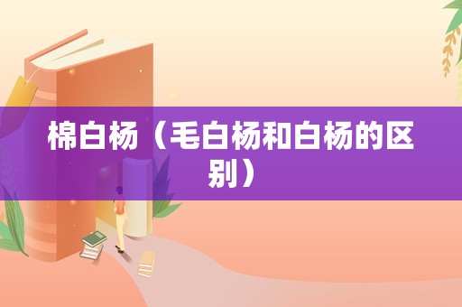 棉白杨（毛白杨和白杨的区别）