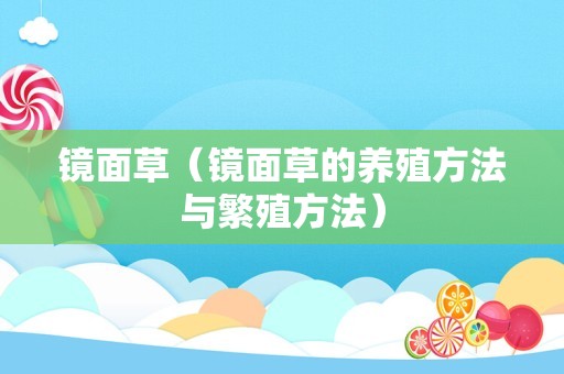 镜面草（镜面草的养殖方法与繁殖方法）