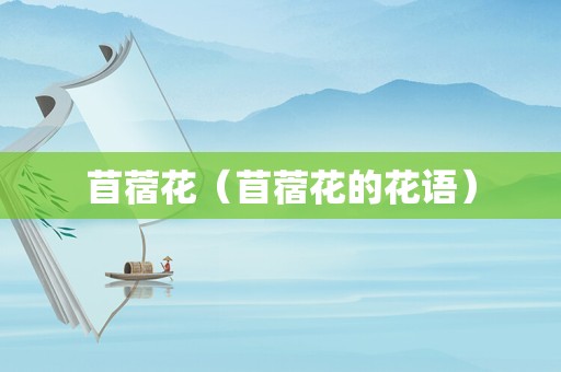 苜蓿花（苜蓿花的花语）