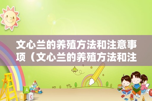 文心兰的养殖方法和注意事项（文心兰的养殖方法和注意事项有哪些）