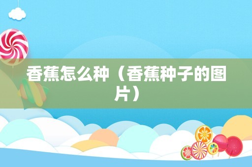 香蕉怎么种（香蕉种子的图片）