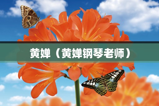 黄婵（黄婵钢琴老师）
