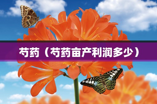 芍药（芍药亩产利润多少）