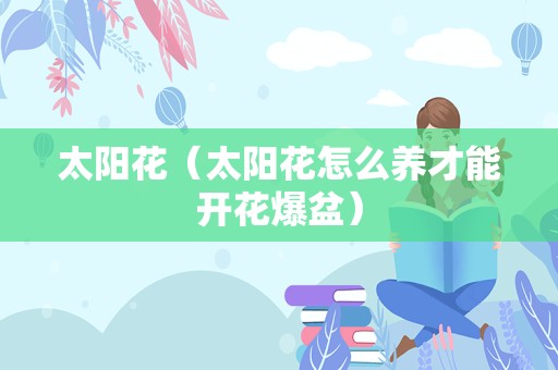 太阳花（太阳花怎么养才能开花爆盆）