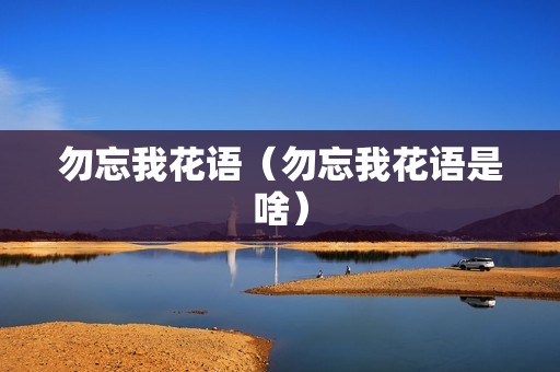 勿忘我花语（勿忘我花语是啥）