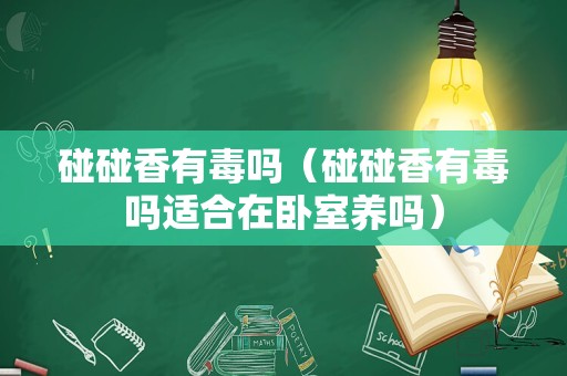 碰碰香有毒吗（碰碰香有毒吗适合在卧室养吗）